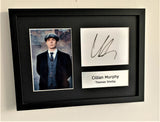 Cillian Murphy as Thomas Shelby A4 Autographed Display