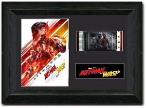 AntMan and the Wasp S3 35mm Framed Film Cell Display