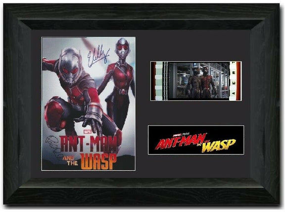 AntMan and the Wasp S2 35mm Framed Film Cell Display Signed