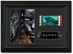 Alpha 35mm Framed Film Cell Display